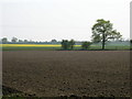 SE6653 : Farmland near Holtby Grange by JThomas