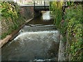 Weir on Washford River