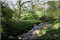 Black Brook at Blackbrook