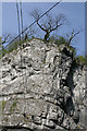 Satellite dishes on Lovers Leap