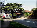 Caterham:  Cedar Tree