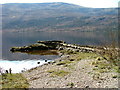 NN0592 : Jetty on Loch Arkaig by Dave Fergusson