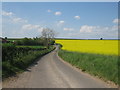 SU5641 : Lane by Lone Farm by Mr Ignavy