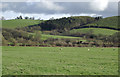 Pasture at Cynghordy, Carmarthenshire