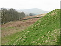 Earthwork of Hermitage Castle