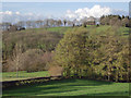 Pasture and woodland west of Builth Wells, Powys