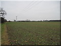 Fieldside  Footpath  toward  Sparrow  Hall  Farm.