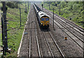 Empty Hopper Train