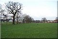 Recreation Ground, Barnet