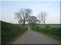 The lane to Ludford