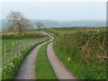 Farm access track near Llansteffan