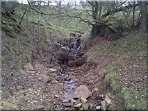 SO6074 : Stream running off Clee Hill by Mr M Evison