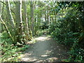 Footbridge over stream in Nailard