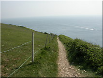 SY9675 : St. Aldhelm's Head, coast path by Mike Faherty