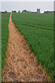 Footpath to Bishampton church