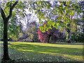 Autumn colours on Cannon Hill Common