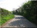 ST9182 : Section of lane between two bends near the A429 by Nick Smith