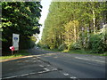 Brasted Road, near Westerham