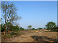 Pound Common