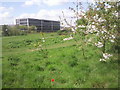 Northfleet Urban Country Park