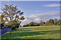 Autumn colours on Cannon Hill Common, on Parkway