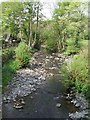 Afon Trannon upstream at Llawr-y-glyn