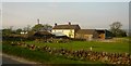 Farm at Windy Harbour