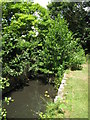 The Beck at the northern end of Kelsey Park (2)