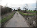 Looking  west  on  Benjy  Lane