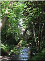 The Beck at the northern end of Kelsey Park (3)