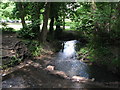 Stepping stones over The Beck at the northern end of Kelsey Park (2)