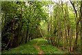 Thame Lane through Clifton Heath