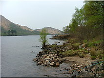 NM8082 : North shore of Loch Eilt by Dave Fergusson