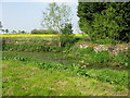 Small pond on the outskirts of Chedglow