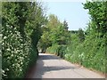 Road north of Sandford