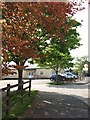 Sandford Village Hall and car park