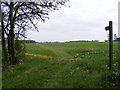 Footpath to Great Lodge Entrance