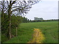 Footpath to Great Lodge Entrance