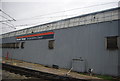 Shed, Bounds Green Depot