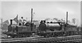 Locomotives in the yard of Stirling (Shore Road, LNER) Depot