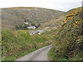 Lane to Welcombe Mouth