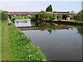 Swinton - Burton Ings Bridge