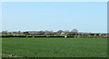 2011 : Fields north east of East Tytherton