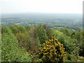 View from the Temple of the Winds viewpoint, Black Down