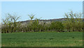 ST9775 : 2011 : Field near Chestermans Farm by Maurice Pullin