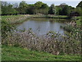 Duck pond at Osbaldeston