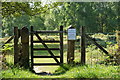 Gate Onto the Ashdown Forest, Sussex