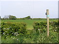 TM3256 : Footpath to the A12 Main Road by Geographer
