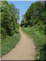 Disused railway, Tongham