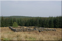 NX2376 : Darnarroch Fell sheepfold by Leslie Barrie